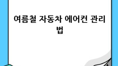 폭염 속 자동차, 시원하게 관리하는 방법